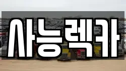 경기도 남양주시 진건읍 렉카, 특수렉카, 차량탁송, 견인운송