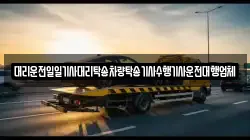 대리운전일일기사대리탁송차량탁송기사수행기사운전대행업체