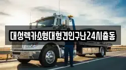 경기도 남양주시 호평동 렉카, 특수렉카, 차량탁송, 견인운송