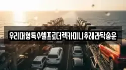 우리대형특수셀프로더렉카미니추레라탁송운