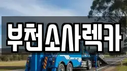 경기도 부천시 소사구 괴안동 렉카, 특수렉카, 차량탁송, 견인운송