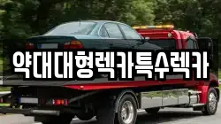 약대대형렉카특수렉카