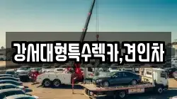 강서대형특수렉카,견인차