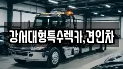 강서대형특수렉카,견인차