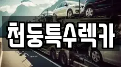 천둥특수렉카