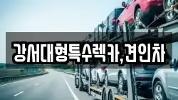 강서대형특수렉카,견인차