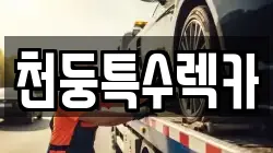 천둥특수렉카