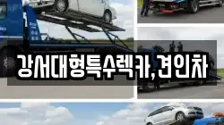 강서대형특수렉카,견인차