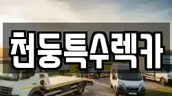 천둥특수렉카