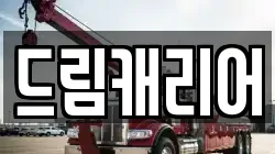 드림캐리어