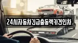 경기도 성남시 분당구 렉카, 특수렉카, 차량탁송, 견인운송