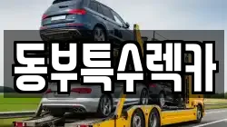 동부특수렉카