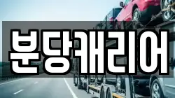 분당캐리어
