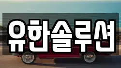 유한솔루션