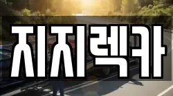 경기도 수원시 팔달구 렉카, 특수렉카, 차량탁송, 견인운송