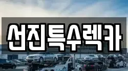 선진특수렉카