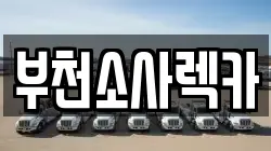 경기도 시흥시 방산동 렉카, 특수렉카, 차량탁송, 견인운송