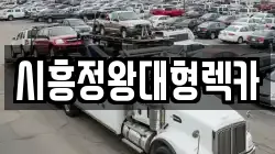 경기도 시흥시 배곧동 렉카, 특수렉카, 차량탁송, 견인운송