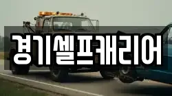 경기셀프캐리어