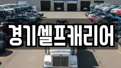 경기셀프캐리어