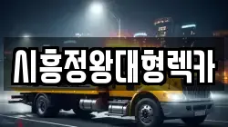 경기도 안산시 단원구 대부동동 렉카, 특수렉카, 차량탁송, 견인운송