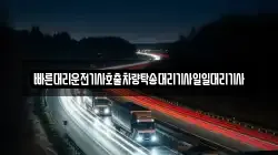 빠른대리운전기사호출차량탁송대리기사일일대리기사