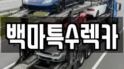 백마특수렉카
