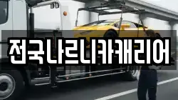 전국나르니카캐리어