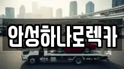 안성하나로렉카