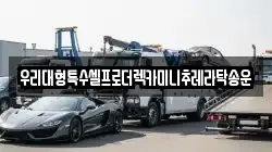 우리대형특수셀프로더렉카미니추레라탁송운