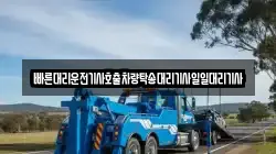 빠른대리운전기사호출차량탁송대리기사일일대리기사