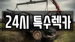 경기도 안양시 만안구 렉카, 특수렉카, 차량탁송, 견인운송