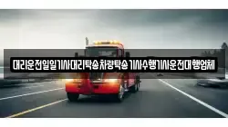 대리운전일일기사대리탁송차량탁송기사수행기사운전대행업체