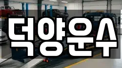 덕양운수