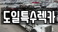 도일특수렉카