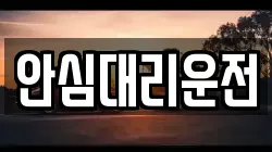 안심대리운전
