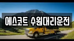 에스코트 수원대리운전