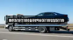 빠른대리운전기사호출차량탁송대리기사일일대리기사