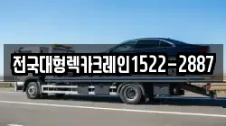 경기도 용인시 기흥구 보라동 렉카, 특수렉카, 차량탁송, 견인운송