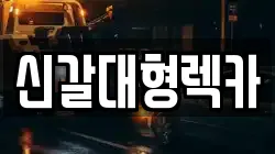 경기도 용인시 기흥구 렉카, 특수렉카, 차량탁송, 견인운송