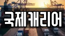 국제캐리어