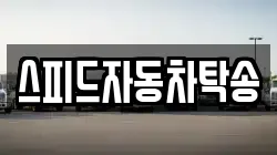 스피드자동차탁송