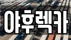 경기도 용인시 수지구 성복동 렉카, 특수렉카, 차량탁송, 견인운송