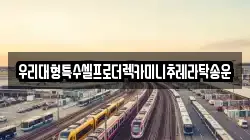 우리대형특수셀프로더렉카미니추레라탁송운