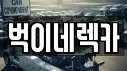 벅이네렉카