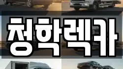 청학렉카