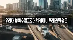 우리대형특수셀프로더렉카미니추레라탁송운