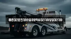 빠른대리운전기사호출차량탁송대리기사일일대리기사