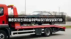 빠른대리운전기사호출차량탁송대리기사일일대리기사
