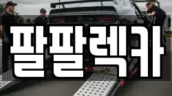 팔팔렉카